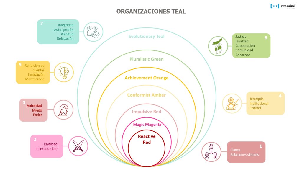 organizaciones teal